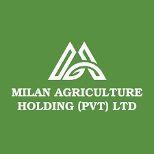 MILLAN